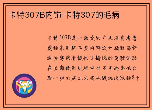 卡特307B内饰 卡特307的毛病
